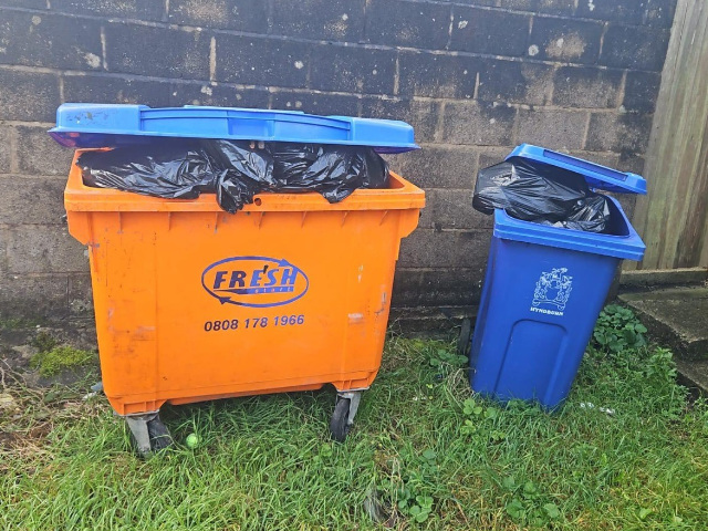 Commercial Bin Collections