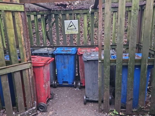 Domestic Bin Collections - After