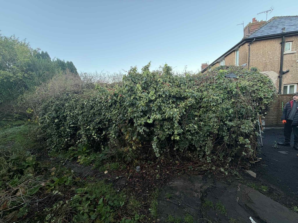 Shed Demolition Burnley